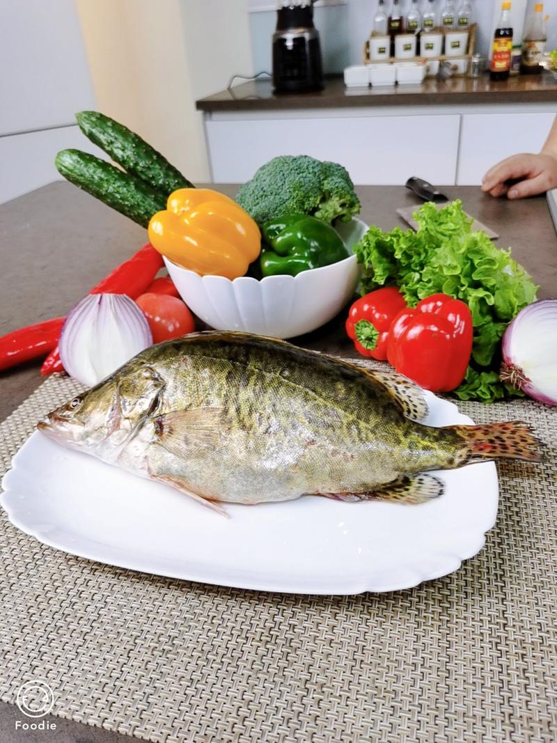 桂鱼鳜鱼活桂鱼鲜桂鱼，红烧清蒸，常年供货，量大质优