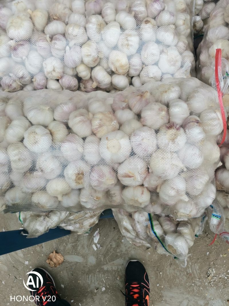 河南大蒜各种电商平台加工(，规模齐全批发商超加工