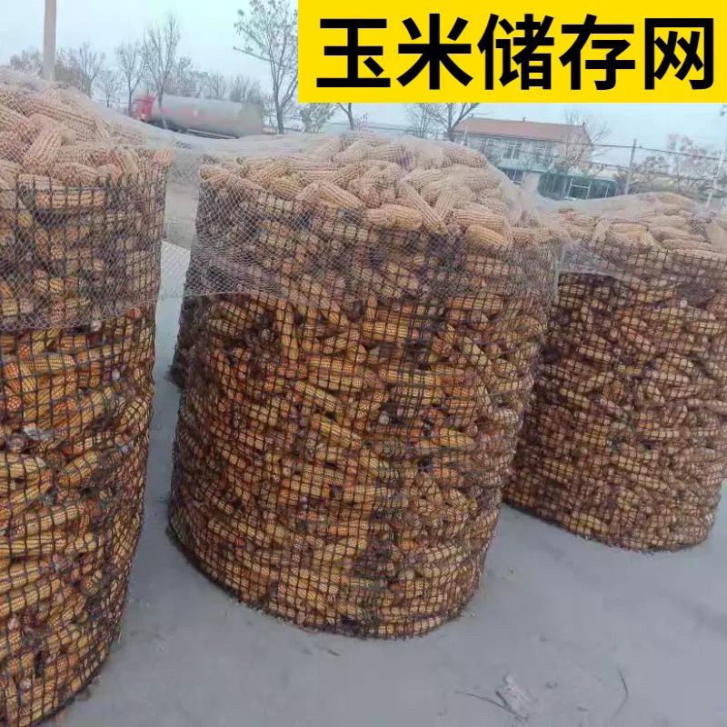 塑料养殖网玉米网养鸡鸭围网漏粪网防护网塑料格栅防护网