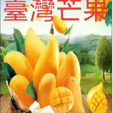 台灣芒果