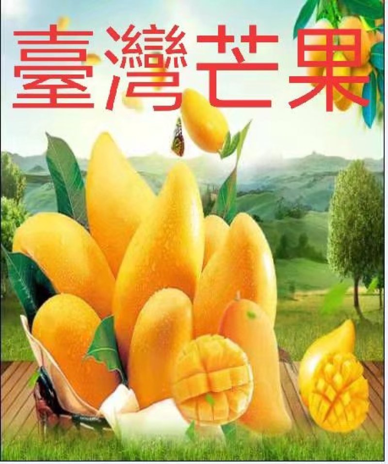 台灣芒果