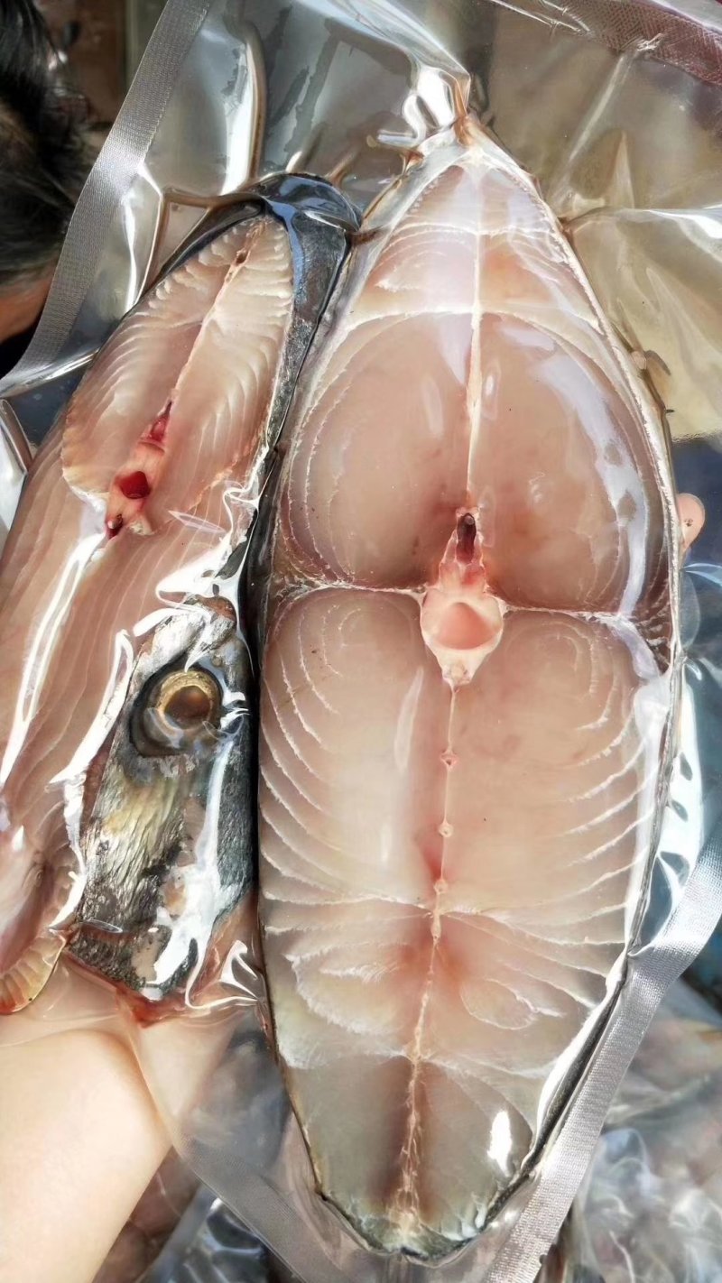 “马鲛鱼”来源南海北部湾海域，天生丽质，肉质饱满，