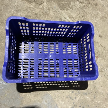 蓝色一次性水果筐