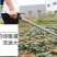 施肥器施肥机施肥枪追肥器水肥液体农用工具玉米大豆花生手动