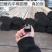 大棚管厂家大棚管价格大棚管镀锌钢管