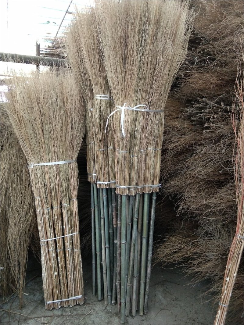 铁扫帚大扫帚扫帚扫帚苗11