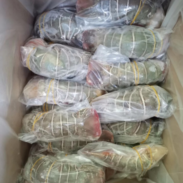 龙虾尾青龙虾尾小青龙100g～300g/条一手货源