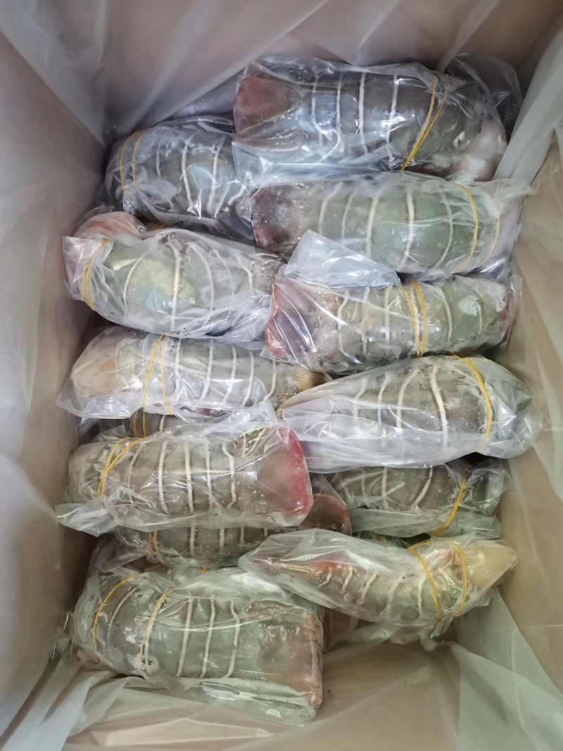 龙虾尾青龙虾尾小青龙100g～300g/条一手货源