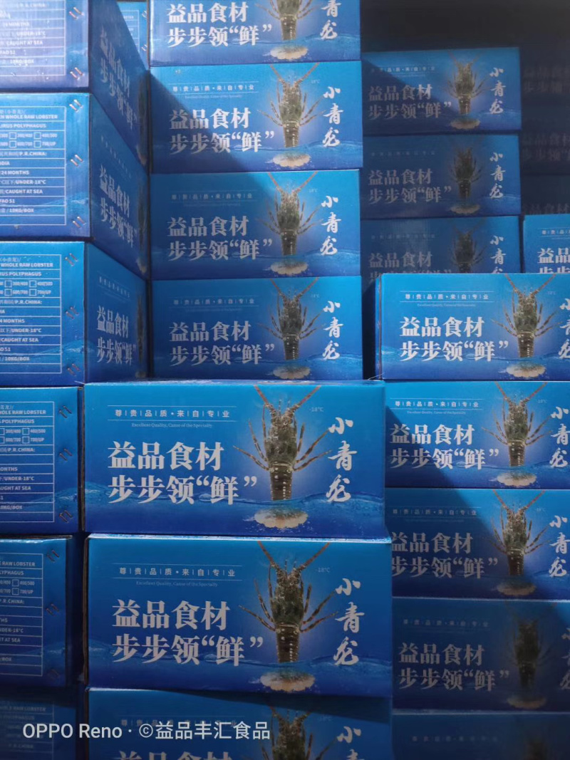 龙虾尾青龙虾尾小青龙100g～300g/条一手货源