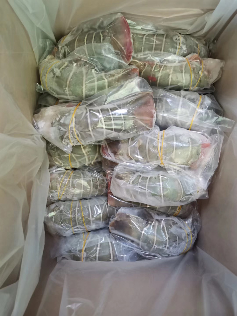 龙虾尾青龙虾尾小青龙100g～300g/条一手货源