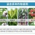 悦速展高效植物油100g高效助剂展着渗透溶蜡封闭增效剂