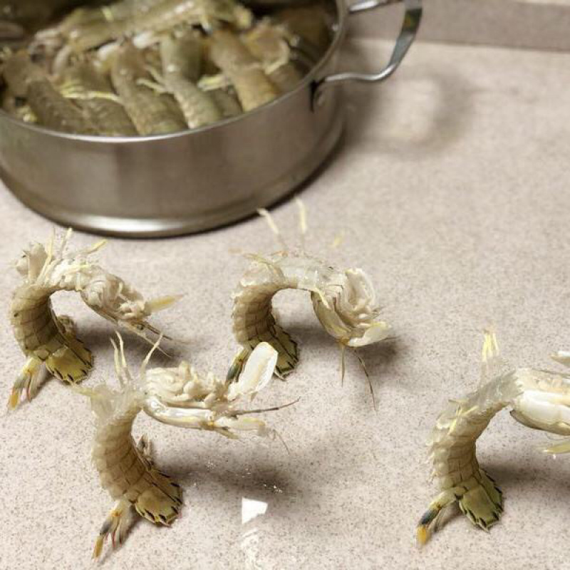 连云港，八抓鱼酱，皮皮虾酱