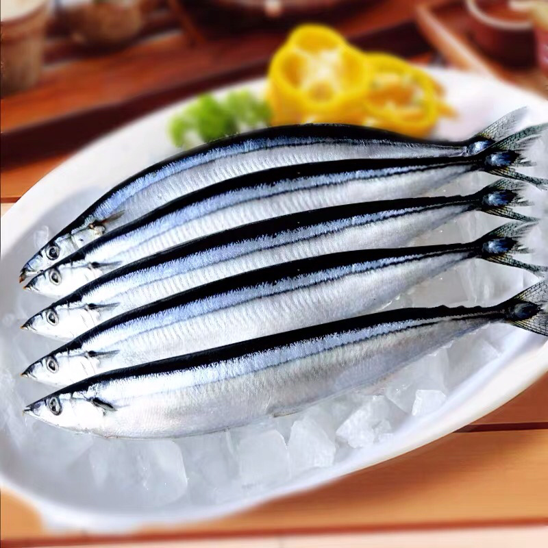 秋刀鱼