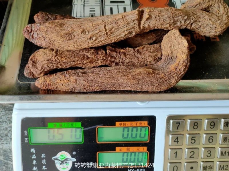 内蒙古野生锁阳三九金锁阳(短头锁阳)精选整根，产地批发