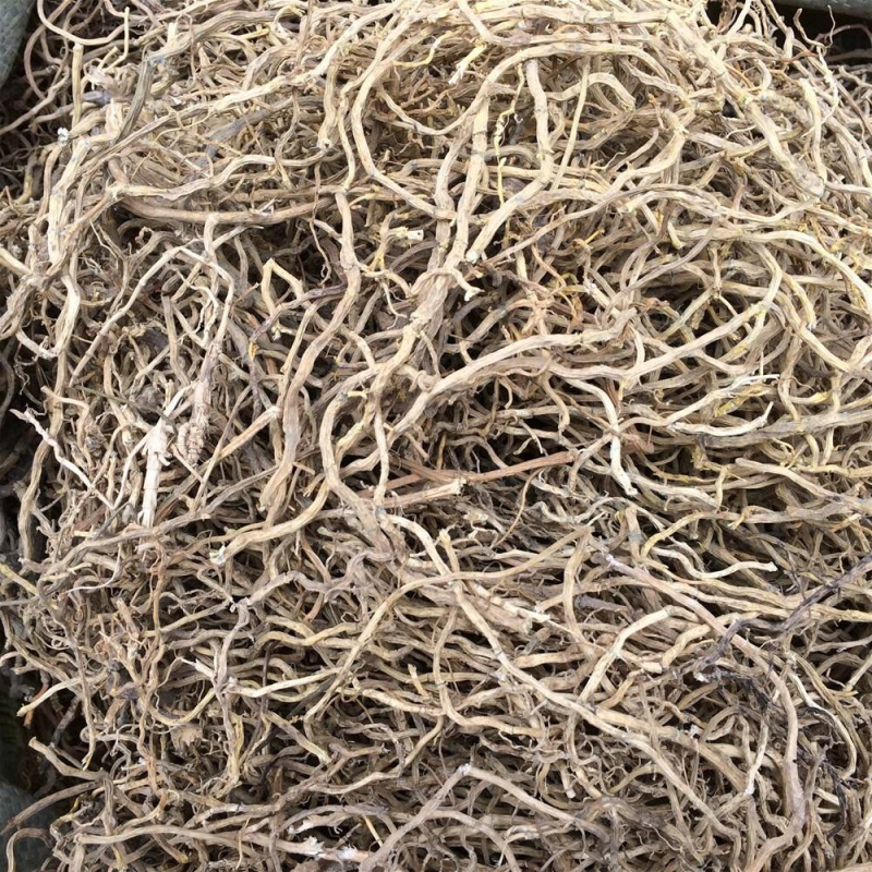 牛尾菜大伸筋牛尾结大通根牛尾蕨