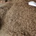 纯野生广西中药材金线风金锁匙百解藤阳枝
