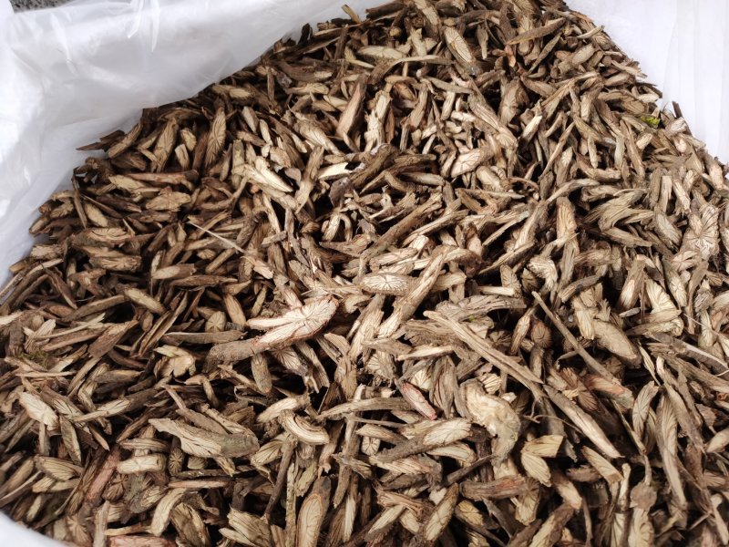 纯野生广西中药材金线风金锁匙百解藤阳枝