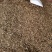 纯野生广西中药材金线风金锁匙百解藤阳枝