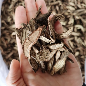 纯野生广西中药材金线风金锁匙百解藤阳枝