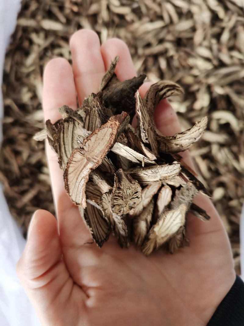 纯野生广西中药材金线风金锁匙百解藤阳枝