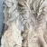 牛散带，常年加工，大量批发精修无油，厂家直销，一手