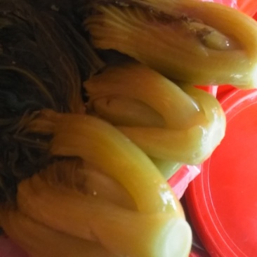 酸菜
