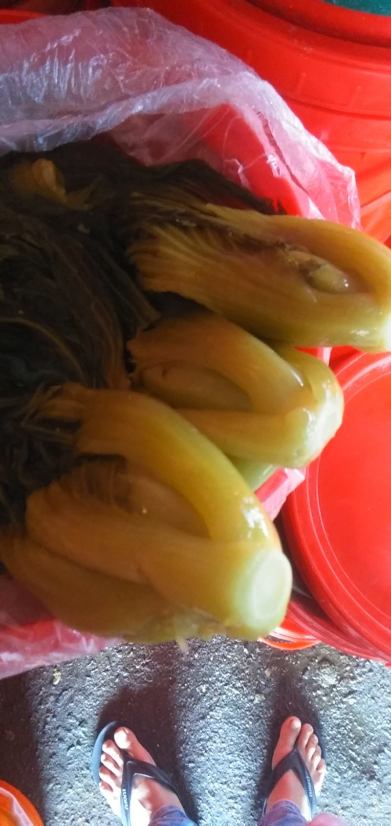 酸菜