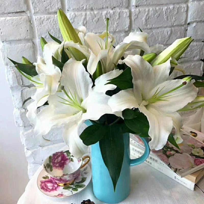 百合花批发专区西伯利亚百合鲜切花云南基地直发可视频看货