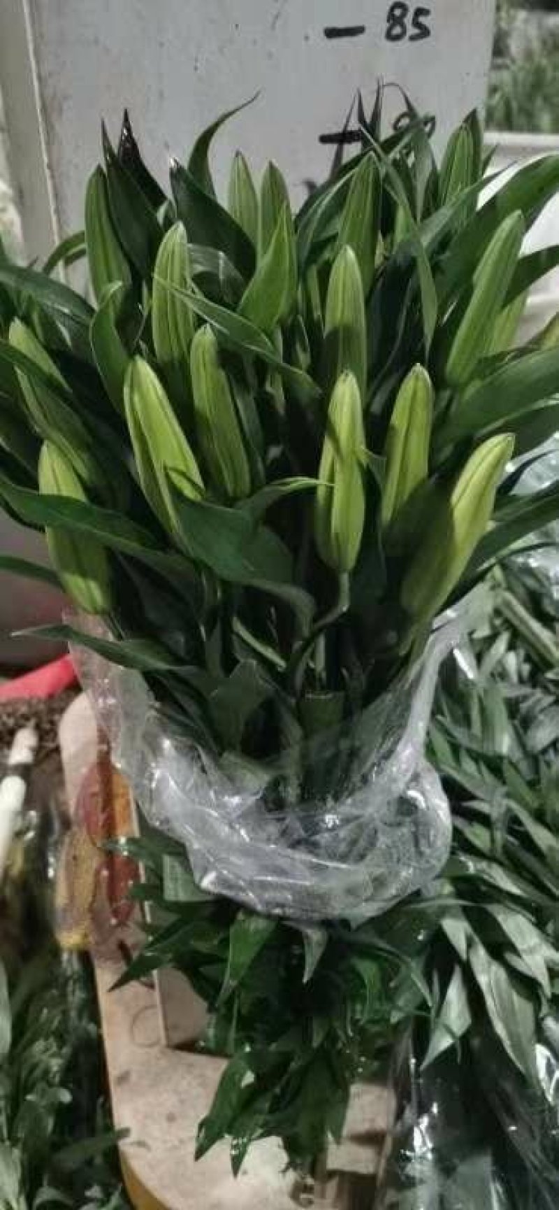 百合花批发专区西伯利亚百合鲜切花云南基地直发可视频看货