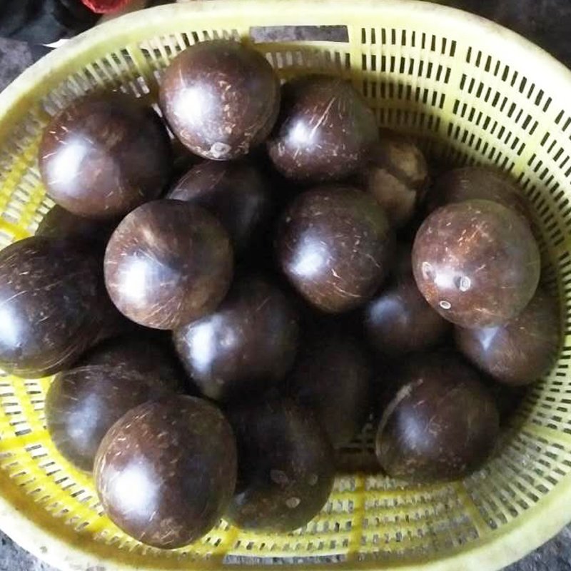 海南水果热带新鲜特产应季去皮大椰子皇老批发不带运费