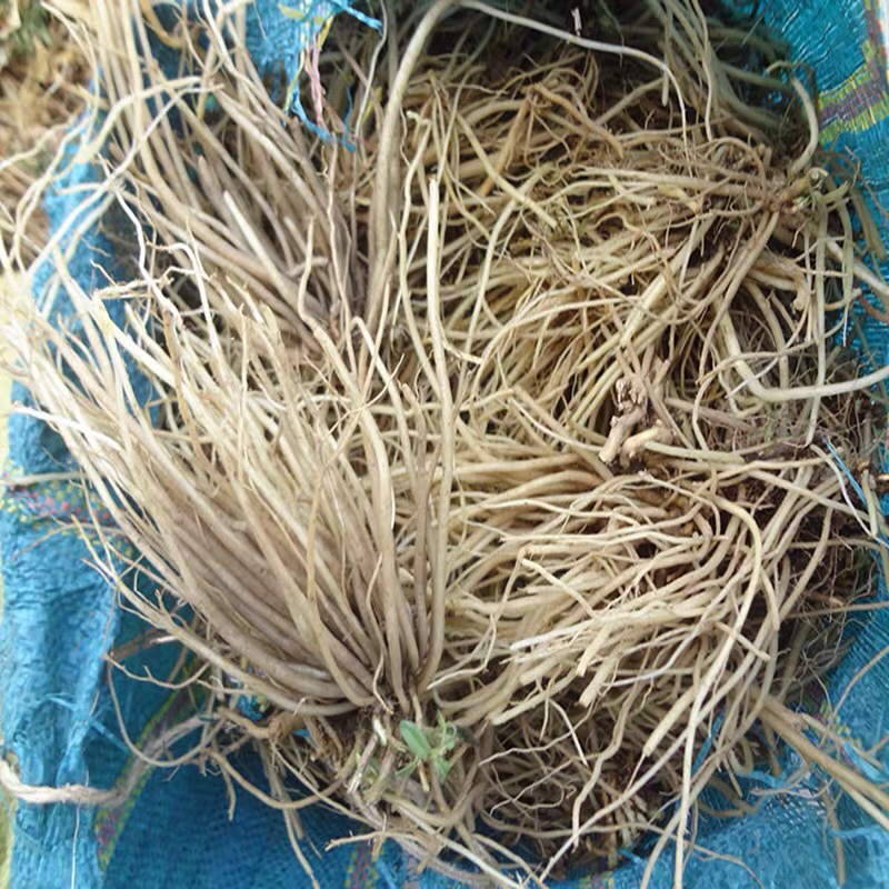 龙胆草龙胆草干中药材农家初选农副产品111
