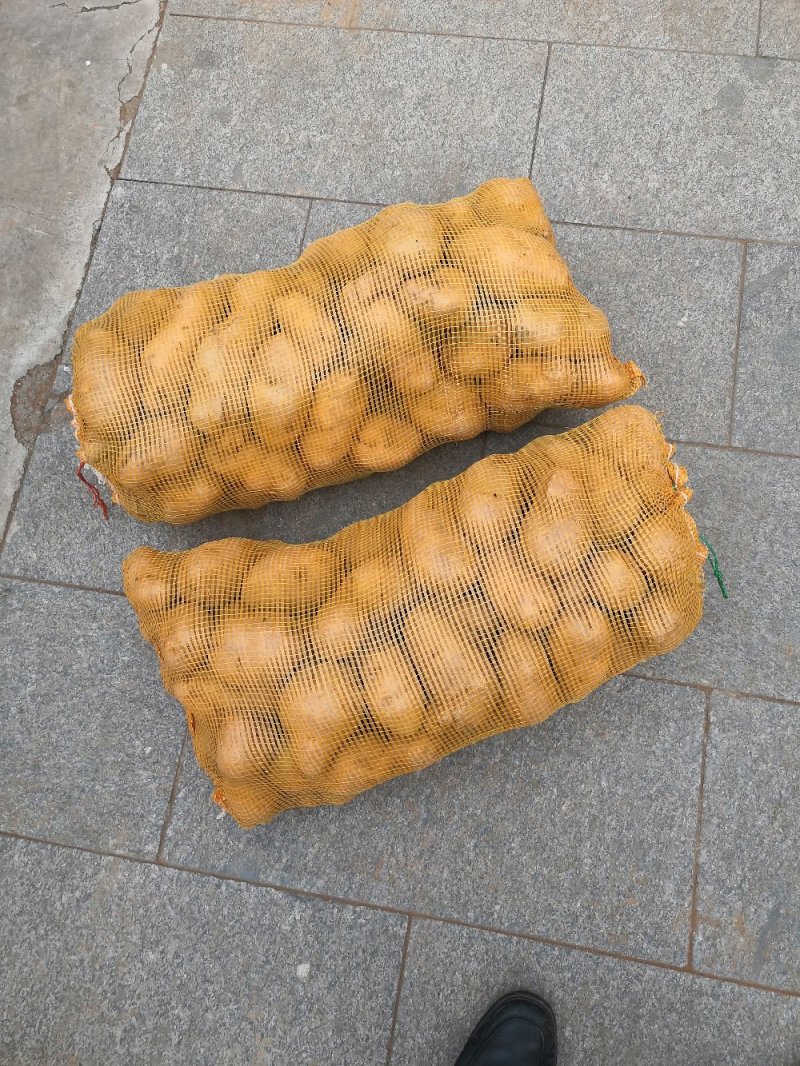 土豆