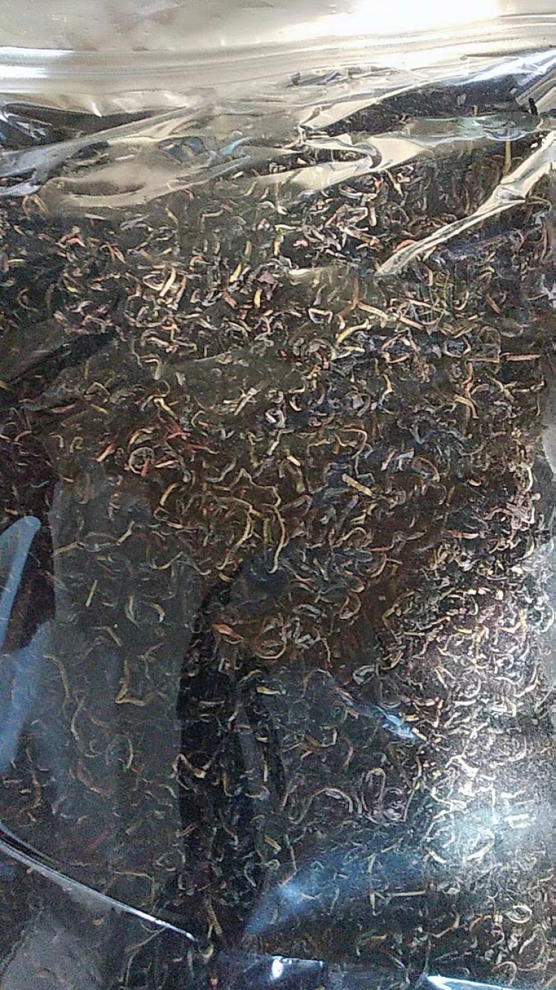 古蔺赶黄草赶黄杆农家初选农副产品1111