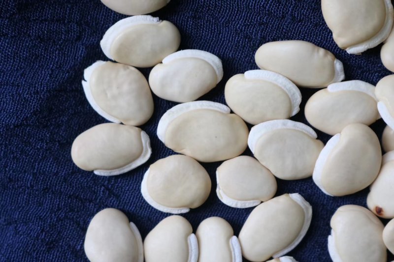 精选云南白扁豆天然手工挑选肉质紧实薄皮带有清香味