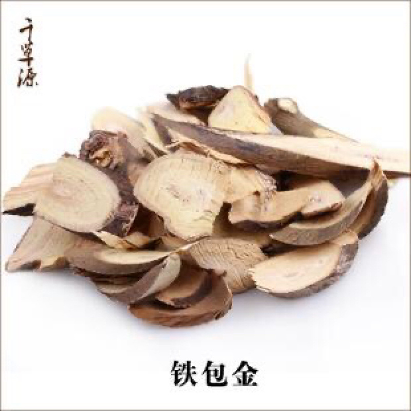 铁包金狗脚利老鼠草鼠乳头乌金藤小号铁包金