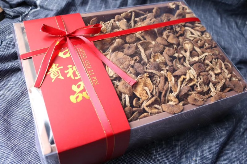 精选福建古田茶树菇无熏硫天然清香味道浓细嫩菌菇