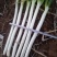 新野大葱粗葱大葱直径2公分左右的老气大葱