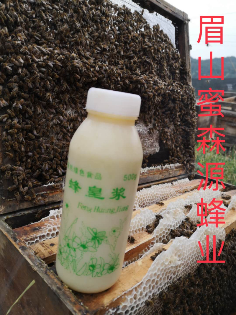 蜂场直供2021年新鲜油菜王浆早春蜂王浆高活性冰袋保鲜