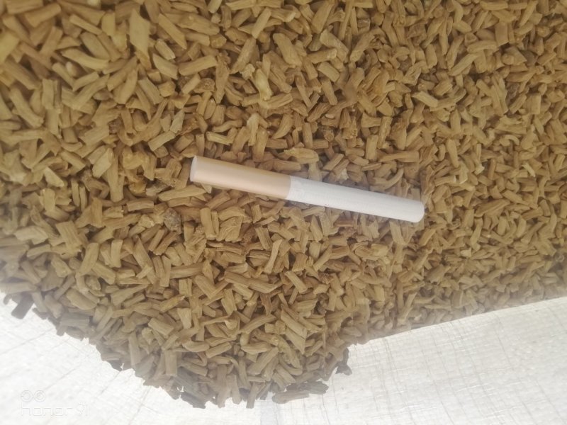 牛膝卒子