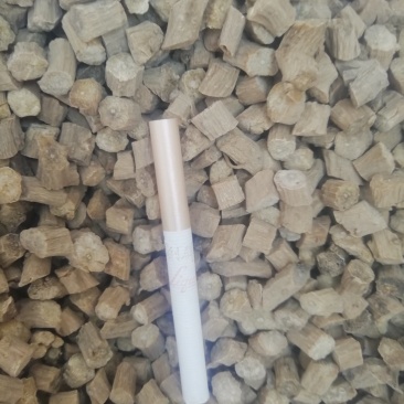 牛膝卒子