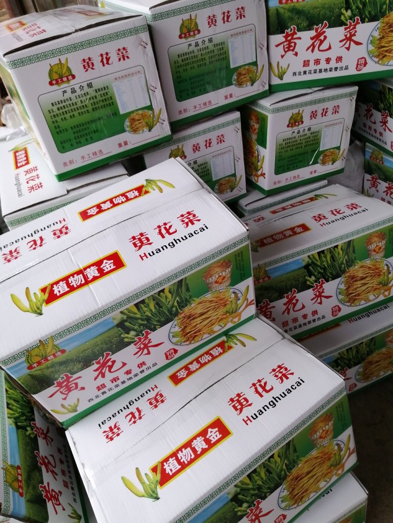 湖南黄花菜种苗，有早中期黄花菜猛子花种苗