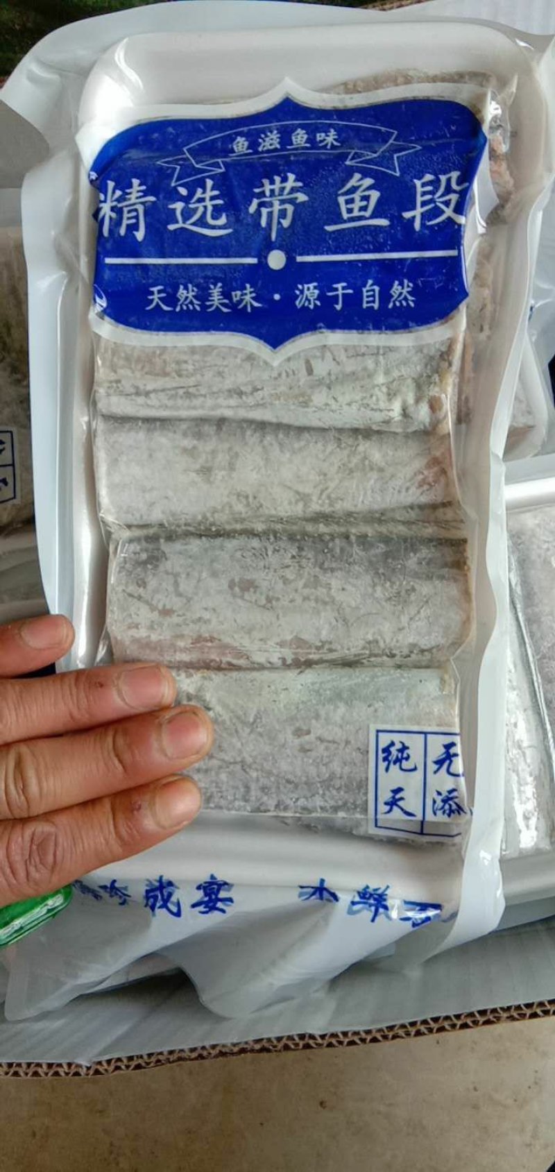 带鱼段冷冻带鱼中段去头去尾带鱼中段