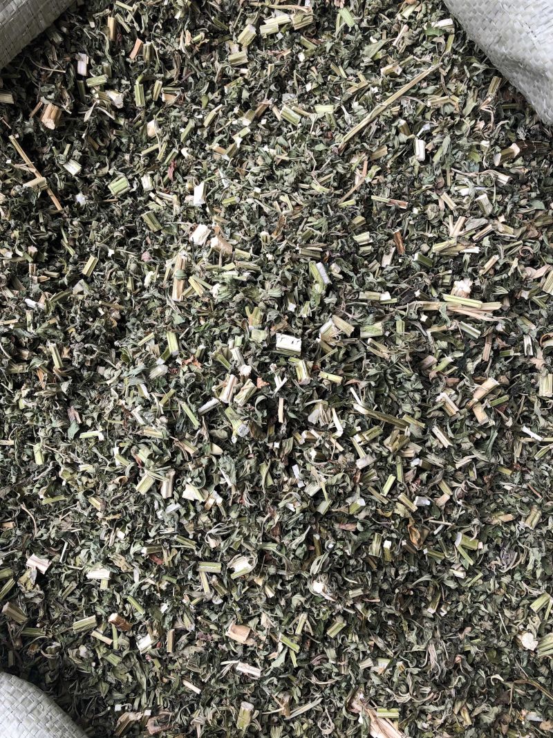益母草中药材优质散装益母草大货批发好货无杂质