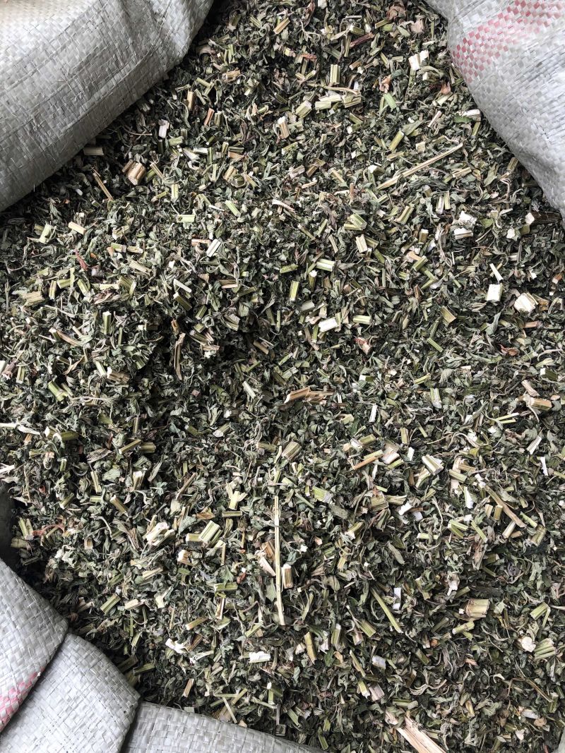 益母草中药材优质散装益母草大货批发好货无杂质