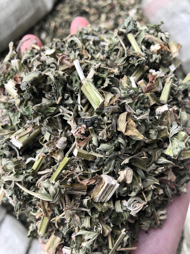 益母草中药材优质散装益母草大货批发好货无杂质