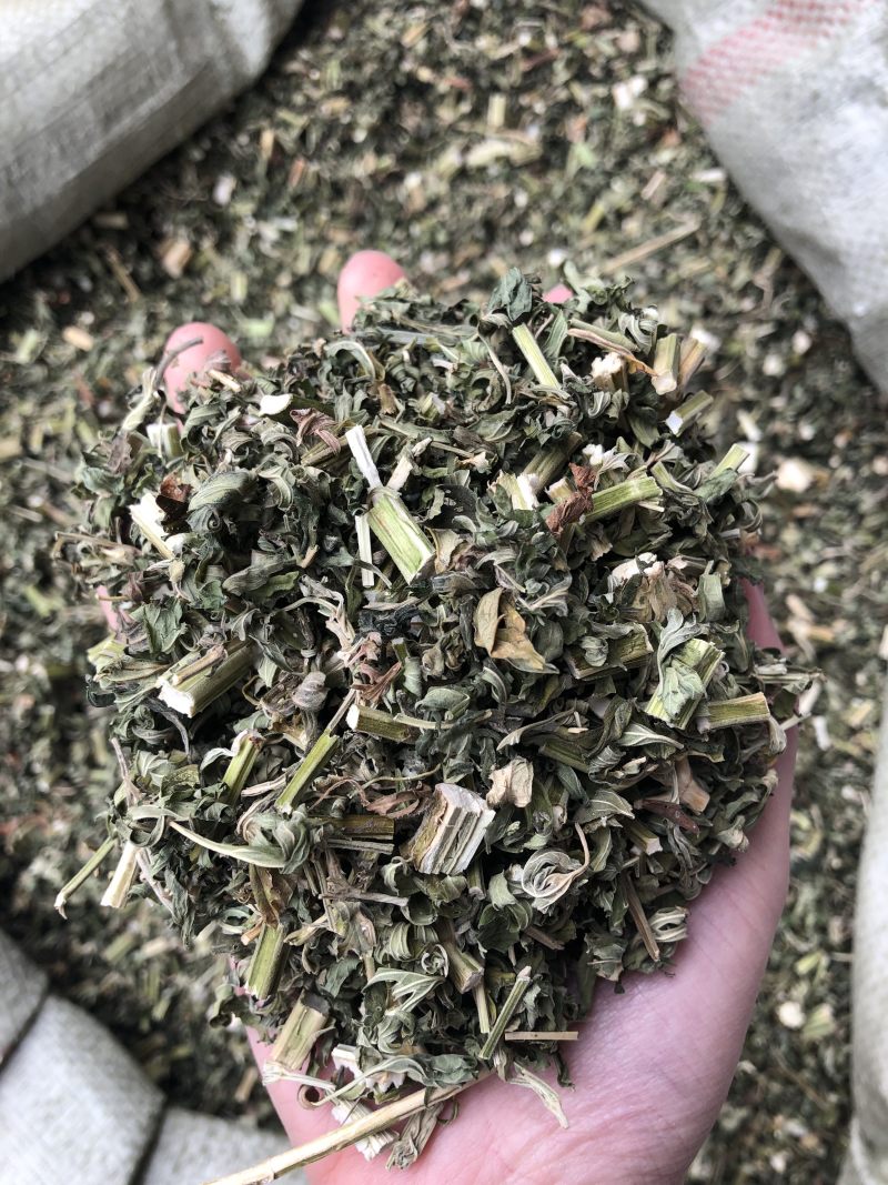 益母草中药材优质散装益母草大货批发好货无杂质