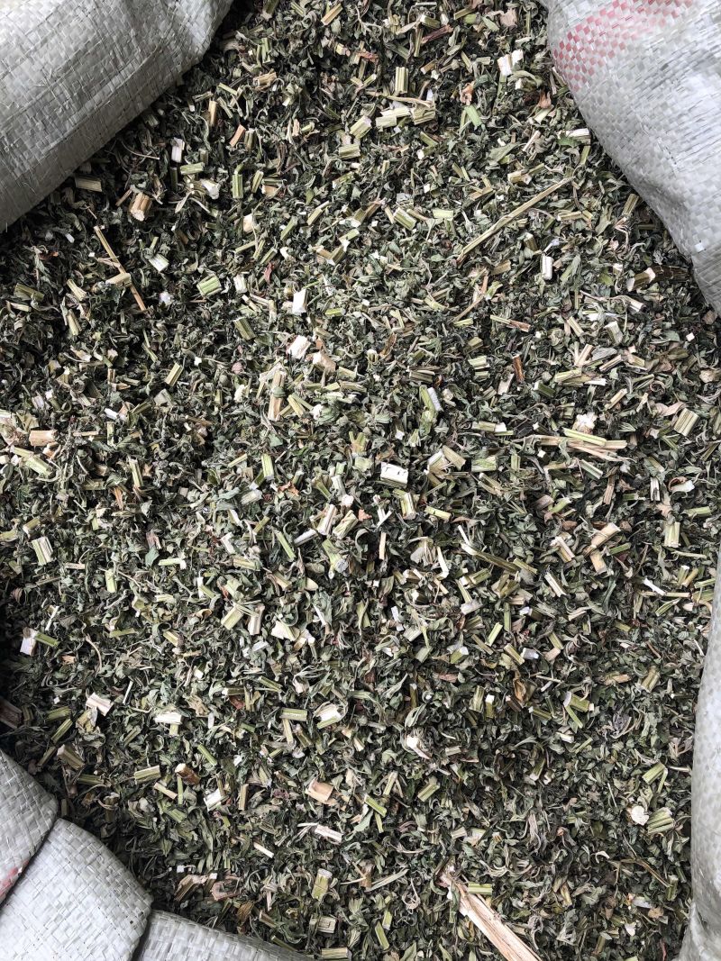 益母草中药材优质散装益母草大货批发好货无杂质