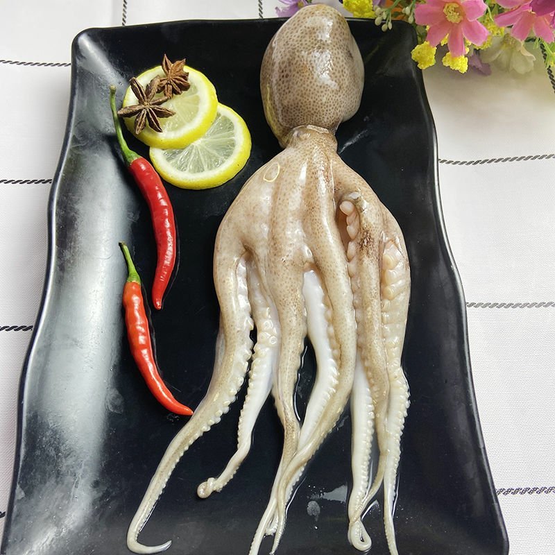 长腿八爪鱼海鲜鲜活水产冷冻章鱼迷你八爪鱼章鱼足短腿八爪鱼