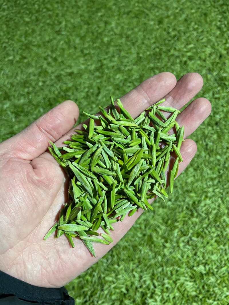 峨眉山的竹叶青