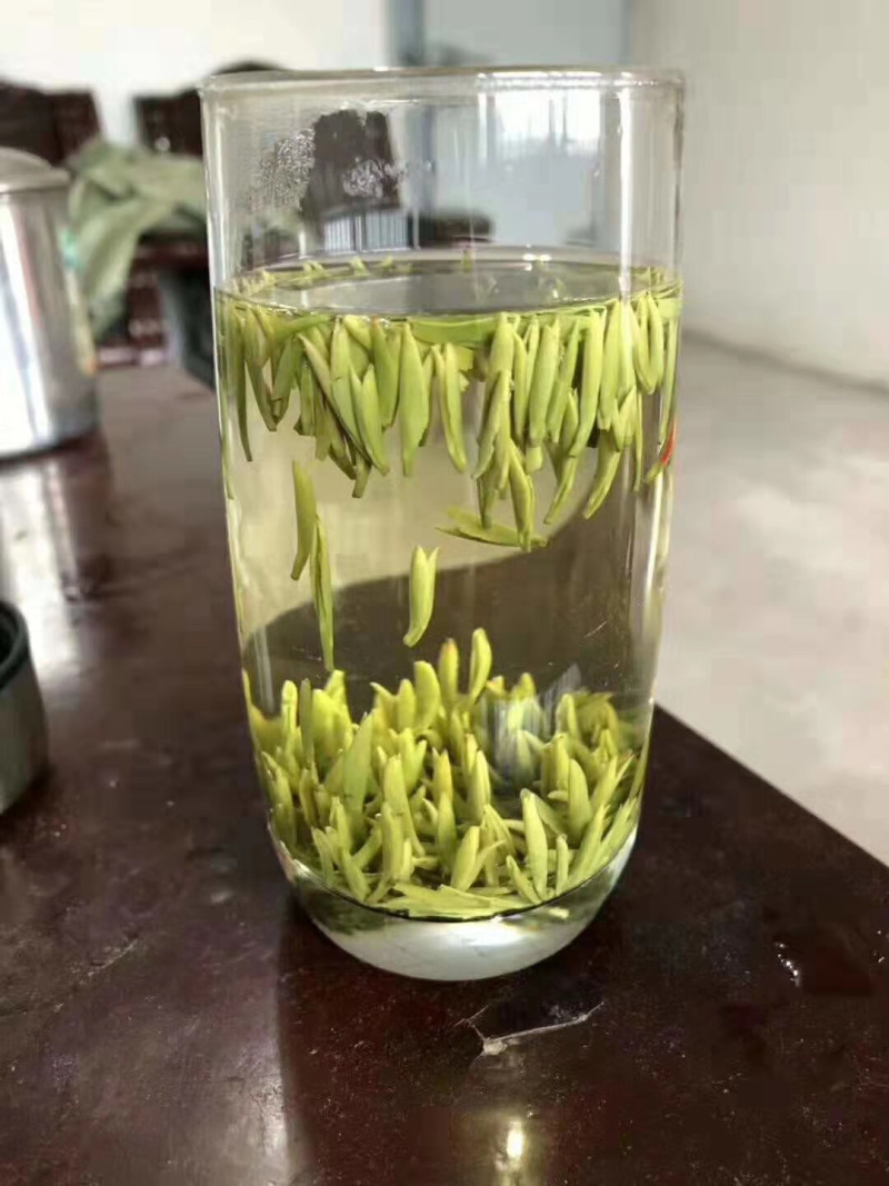 峨眉山的竹叶青
